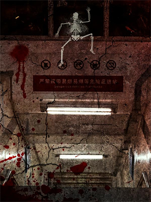 完结版《花开京港》章节阅读