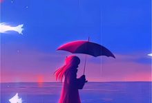 多妻多福,从一介布衣到科举状元小说有没有完结版在线?-维C文学